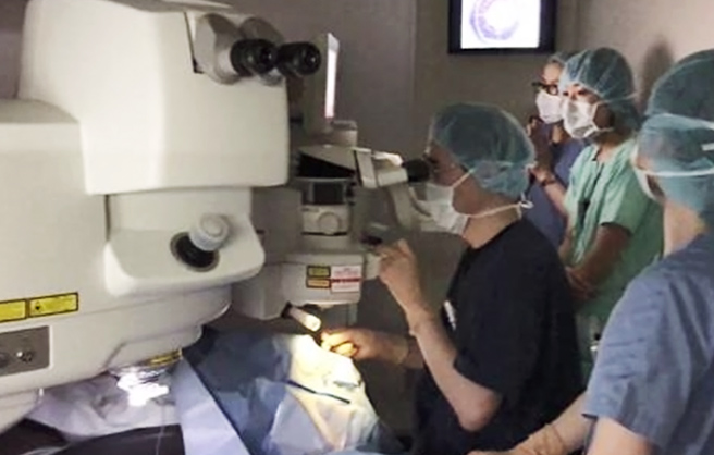 イメージ：治療対象疾患