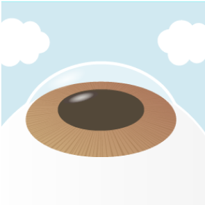 イメージ：手術の流れ2