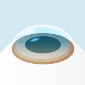 イメージ：手術の流れ3